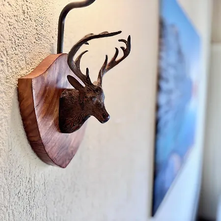 公寓 Jungfraujoch, In&out, Wengen, Valley View 翁根