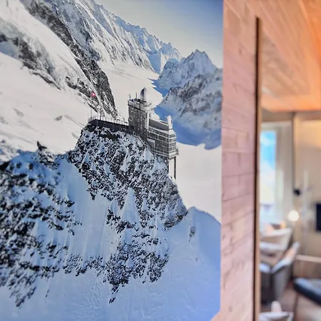 Jungfraujoch, In&out, Wengen, Valley View * 翁根