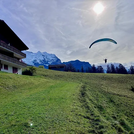 Jungfraujoch, In&out, Wengen, Valley View 公寓