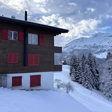 Jungfraujoch, In&out, Wengen, Valley View * 翁根