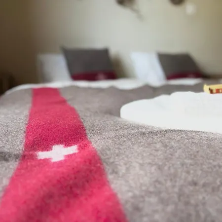 Apartamento Jungfraujoch, In&out, Wengen, Valley View